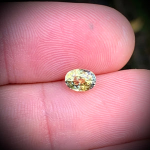 Yellow Sapphire 1.17ct Oval